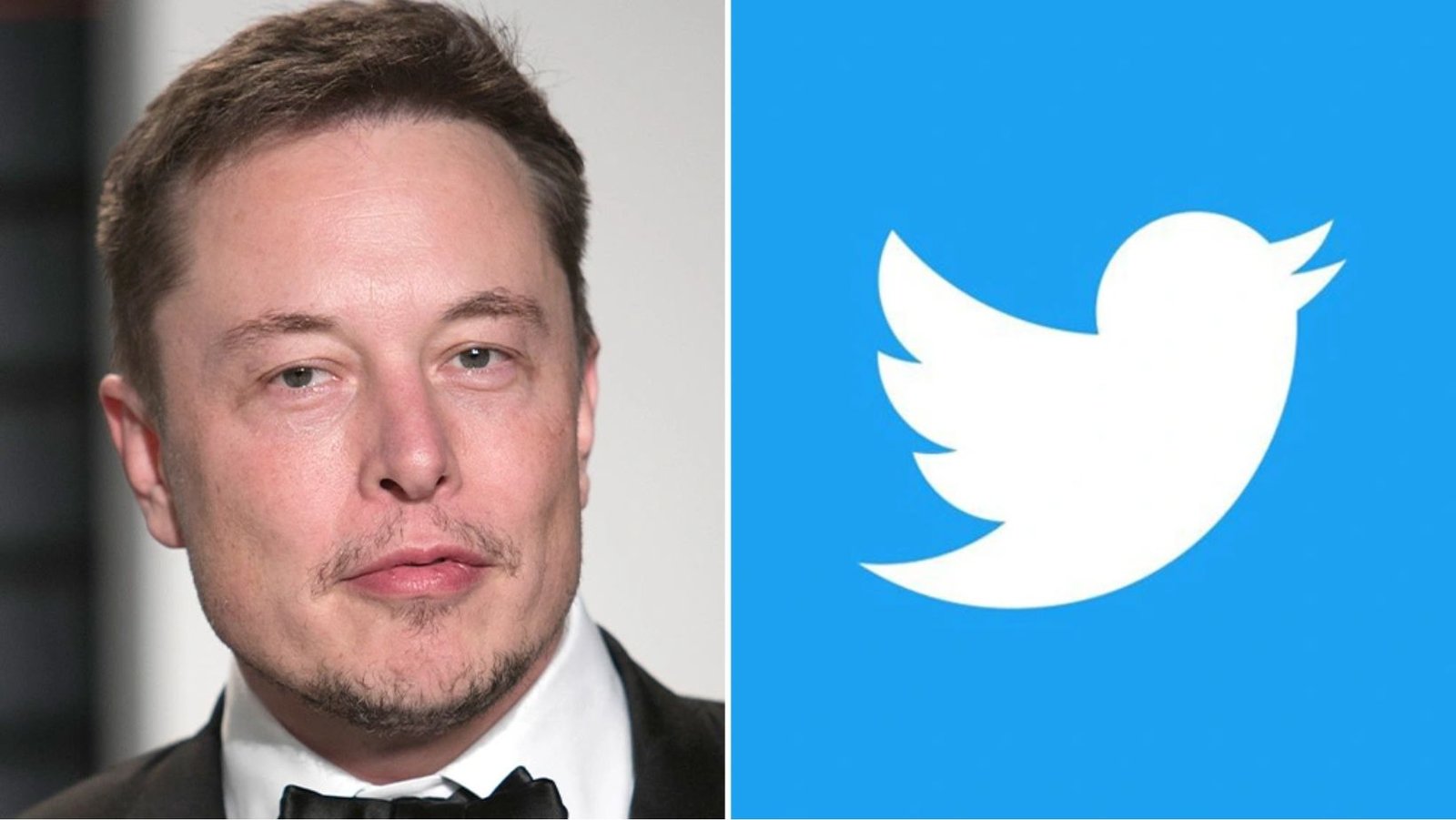 Elon Musk's $44 billion deal is finally approved by Twitter